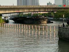 -枫桥景区