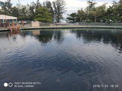 -瑞德姆美人鱼海底演艺主题餐厅(亚龙湾店)