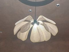 -阿露佳·舌尖上的安吉菜