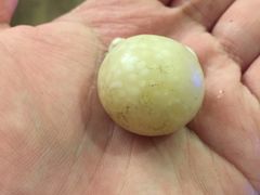 -青岛沙子口国家中心渔港