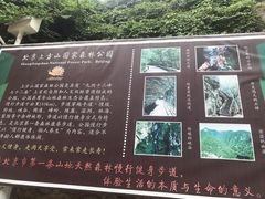 -北京上方山国家森林公园