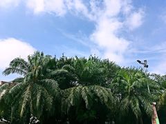 -东部华侨城