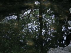 -浮庄