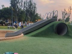 -爪吧宠物乐园 (温榆河示范区店)