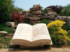 -武清南湖绿博园