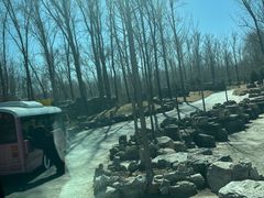 -北京野生动物园