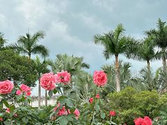 -人民公园(罗湖区)