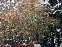 -西北农林科技大学(北校区)