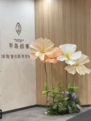 -半岛故事·法儿曼抗衰·indiba中心