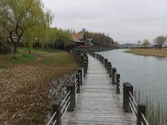 -苏州太湖湖滨国家湿地公园