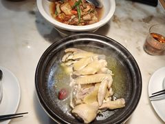-佬肥猫(国华广场店)