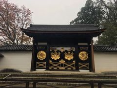 -醍醐寺