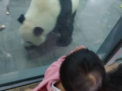 -无锡动物园·太湖欢乐园
