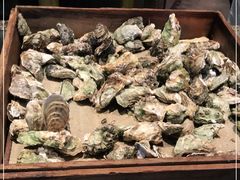 -星伦多自助料理·涮烤一体(杭州来福士店)