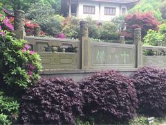 -十八棵（老龙井）御茶园(老龙井店)