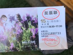 -大塘金香草谷