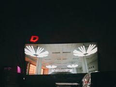 -枫花园汽车电影院(朝阳公园店)