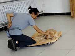 -多乐狗狗宠物训练工作室
