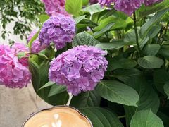-Beans Solo豆号咖啡(百家湖花园店)