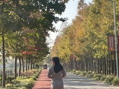 -上海长兴岛郊野公园