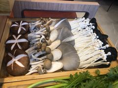 菌类拼盘-蝎王府羊蝎子(西直门店)