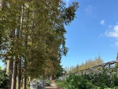 -前小桔亲子创意农场·草莓采摘·露营烧烤