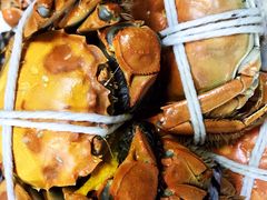 太湖大闸蟹-呼吸森林·生态农庄农家乐私房菜