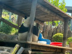 -大连森林动物园