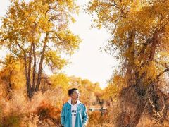 -金塔沙漠胡杨林景区