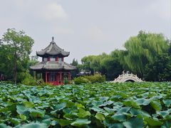 -莲池书院博物馆