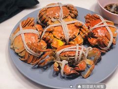 -蟹天蟹地农家菜·阳澄湖大闸蟹(浅水湾店)