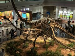 -自贡恐龙博物馆
