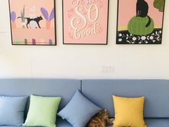 -有猫主题·治愈系猫咖(曾厝垵店)