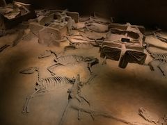 -洛阳周王城天子驾六博物馆