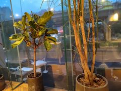 -我的四季意大利餐厅(春天百货店)