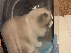 -美联众合24小时·皮肤科·外科·全科诊疗中心(华苑分院)