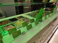 -Salud撒露欧洲冻酸奶(五道口购物中心店)