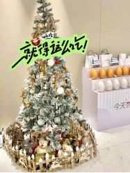 -美莱医疗美容医院