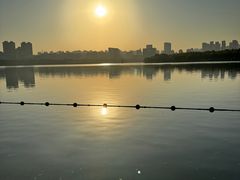 -天鹅湖体育公园