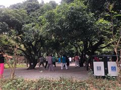 -四海公园(南山区)