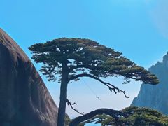 -黄山风景区