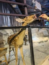 -酷嗒动物文化乐园(cutezoo西溪乐天城店)