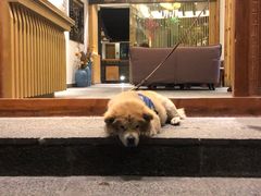 -小厨子私房菜·云南美食店