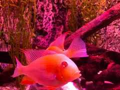 -上海海洋水族馆