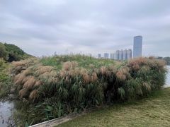 -南宁南湖公园
