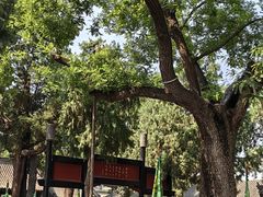 -保定直隶总督署博物馆