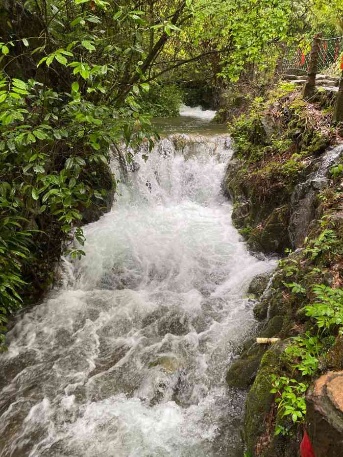 千岛秘境-"带着家人去了避暑圣地,千岛秘境,进门是一.