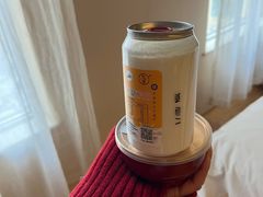 -德禄酸奶(莫家街店)