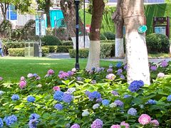 -常州古运河南大街文化旅游区-人民公园