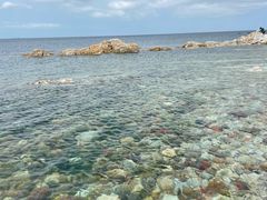 -养马岛旅游度假区